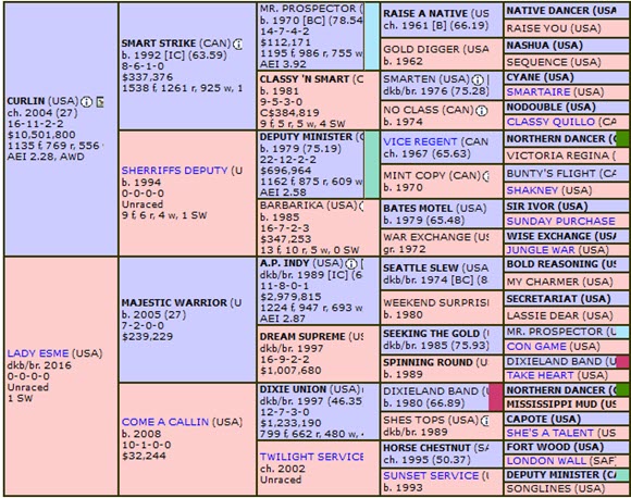 Lord Miles Pedigree